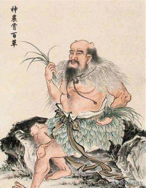 神農大帝後代|古代歷史故事：嘗遍百草的農業之神——神農氏